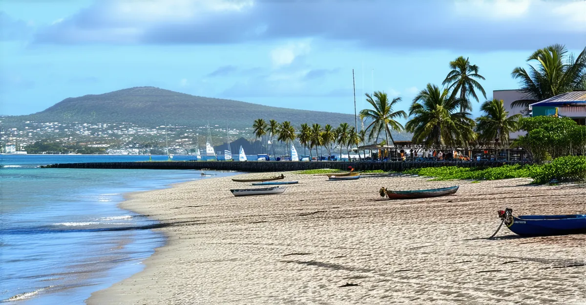 Puerto Jiménez Activities: Top Things to Do in 2026