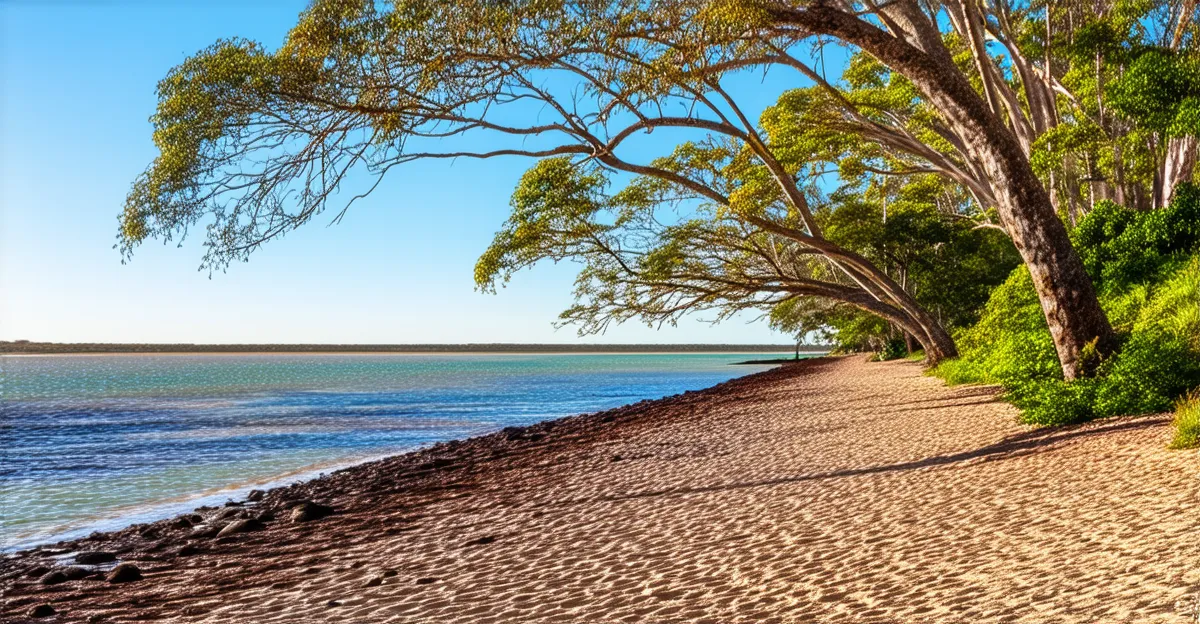 Things to Do in Darwin: Top 2026 Activities