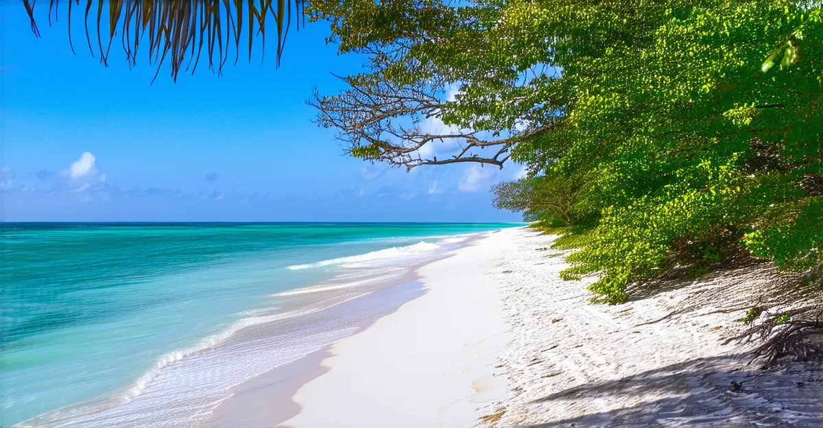 Things to Do in Diani Beach: 2026 Must-Sees