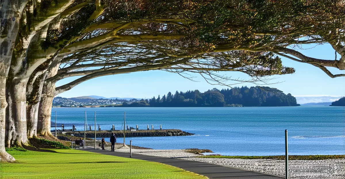 Things to Do in Dunedin: 2026 Guide