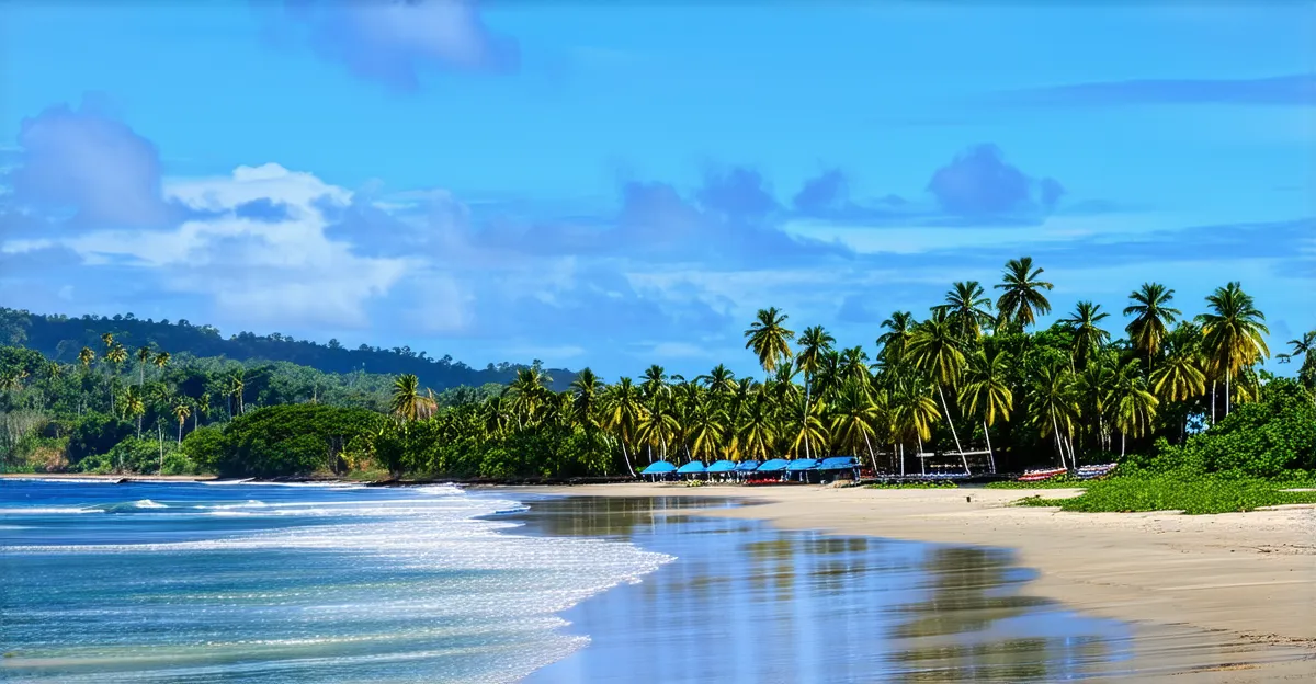 Things to Do in Puerto Viejo: 2026 Guide