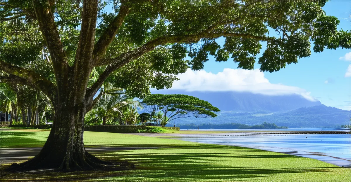 Things to Do in Suva: Your 2026 Bucket List
