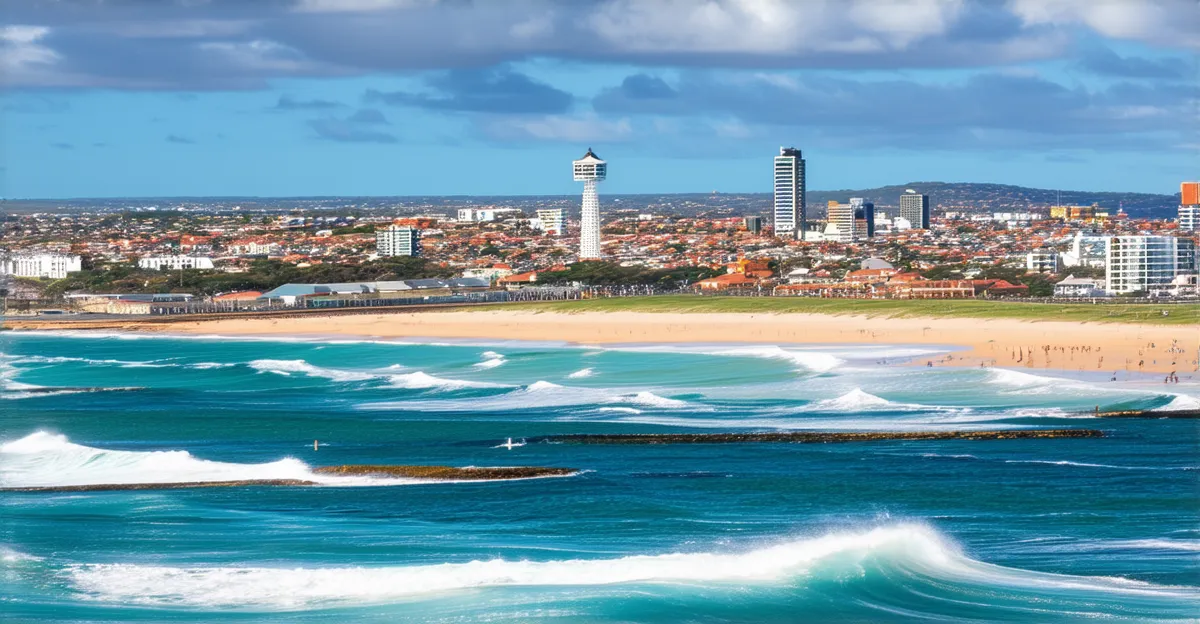 Port Elizabeth Experiences