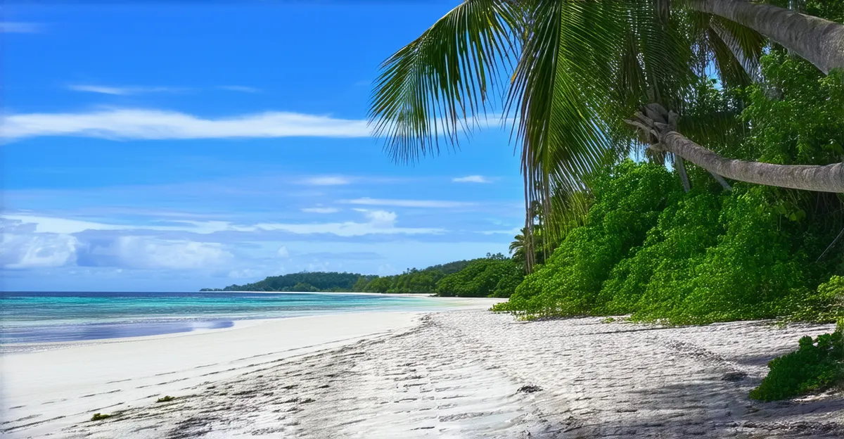 Things to Do in Isla Bastimentos